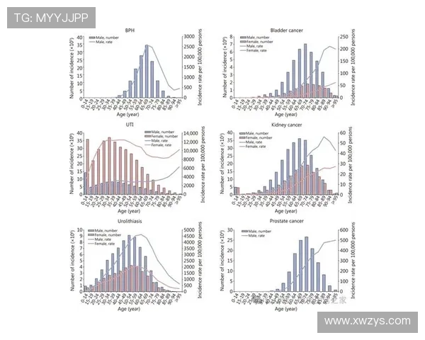 武汉排球队的转型之路探索与挑战并存的崭新篇章